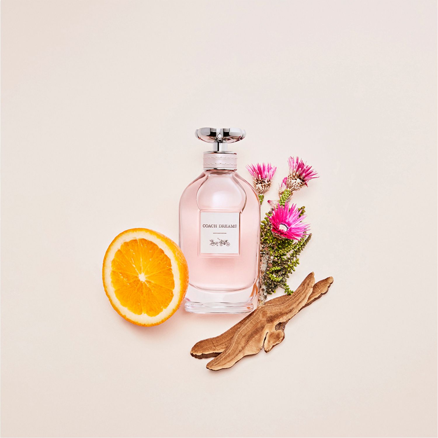 Dreams Eau de Parfum