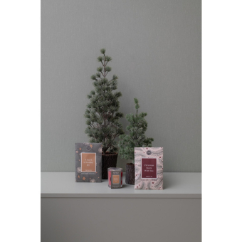 Sachet A Spark Of Holiday Joy