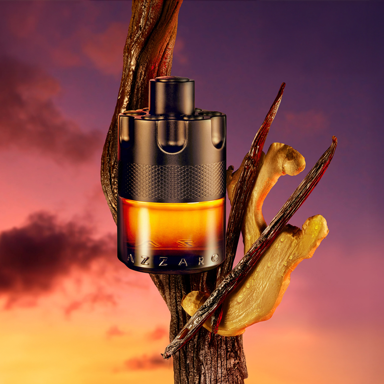 The Most Wanted Le Parfum