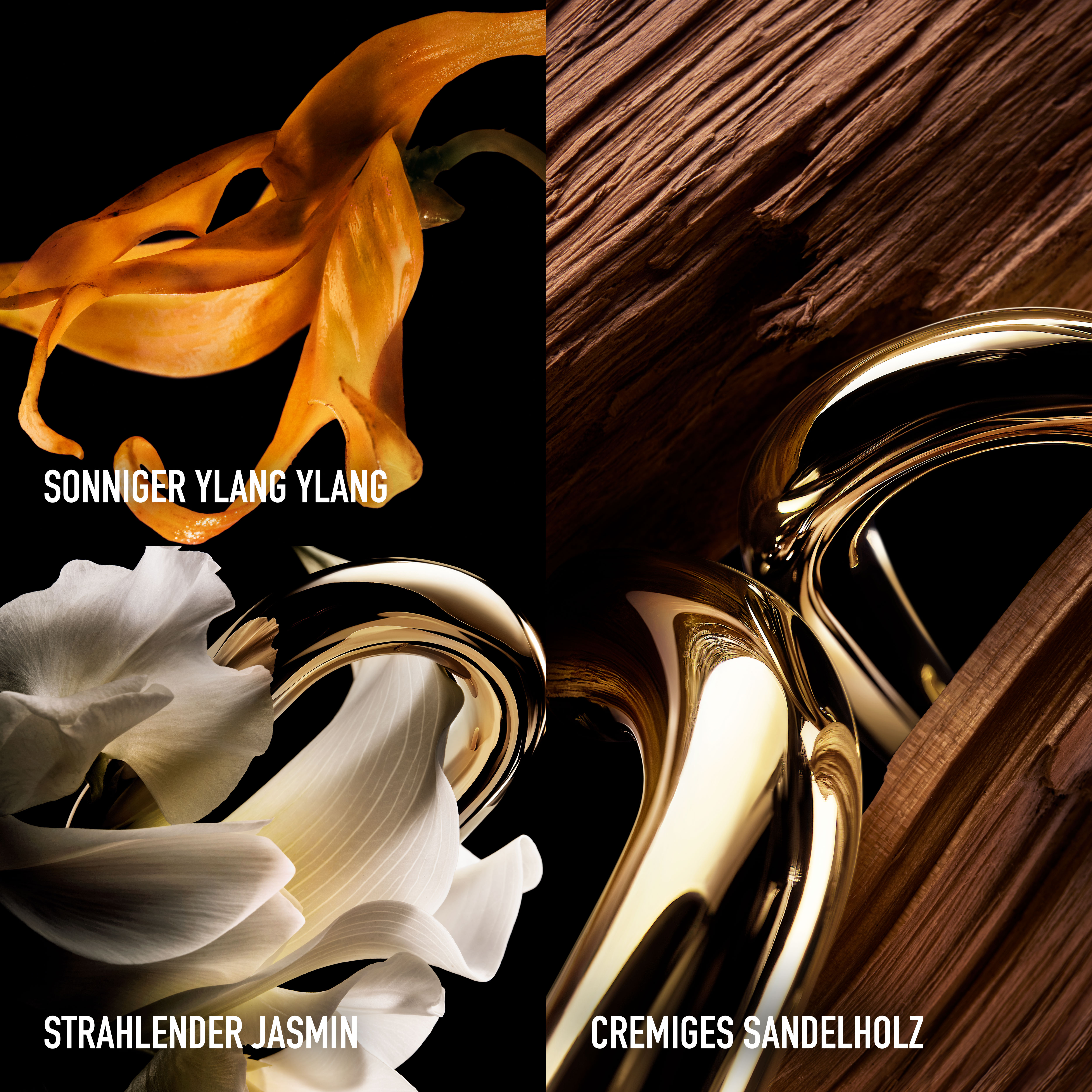 Million Gold For Her Parfum Parfum