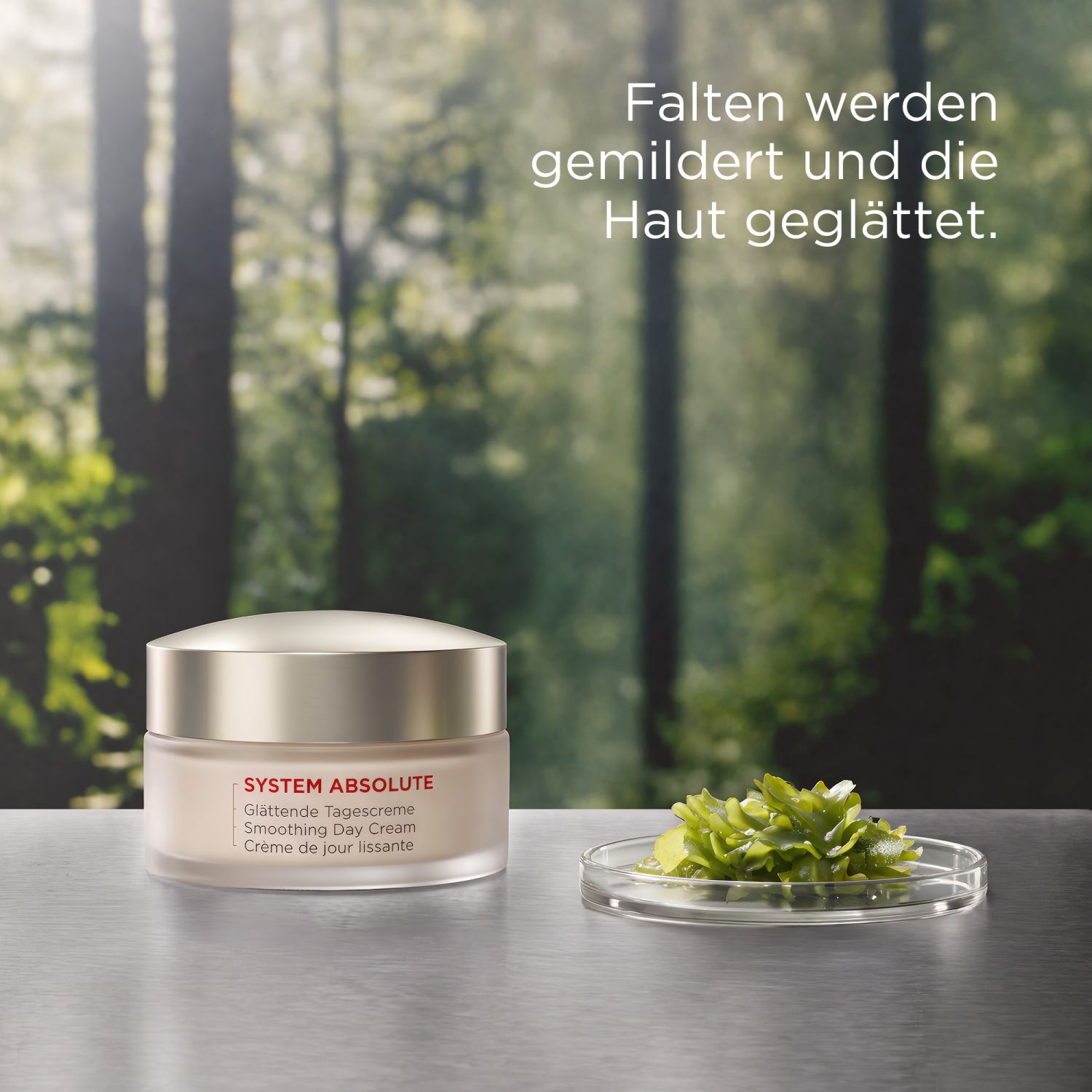 SYSTEM ABSOLUTE Glättende Tagescreme