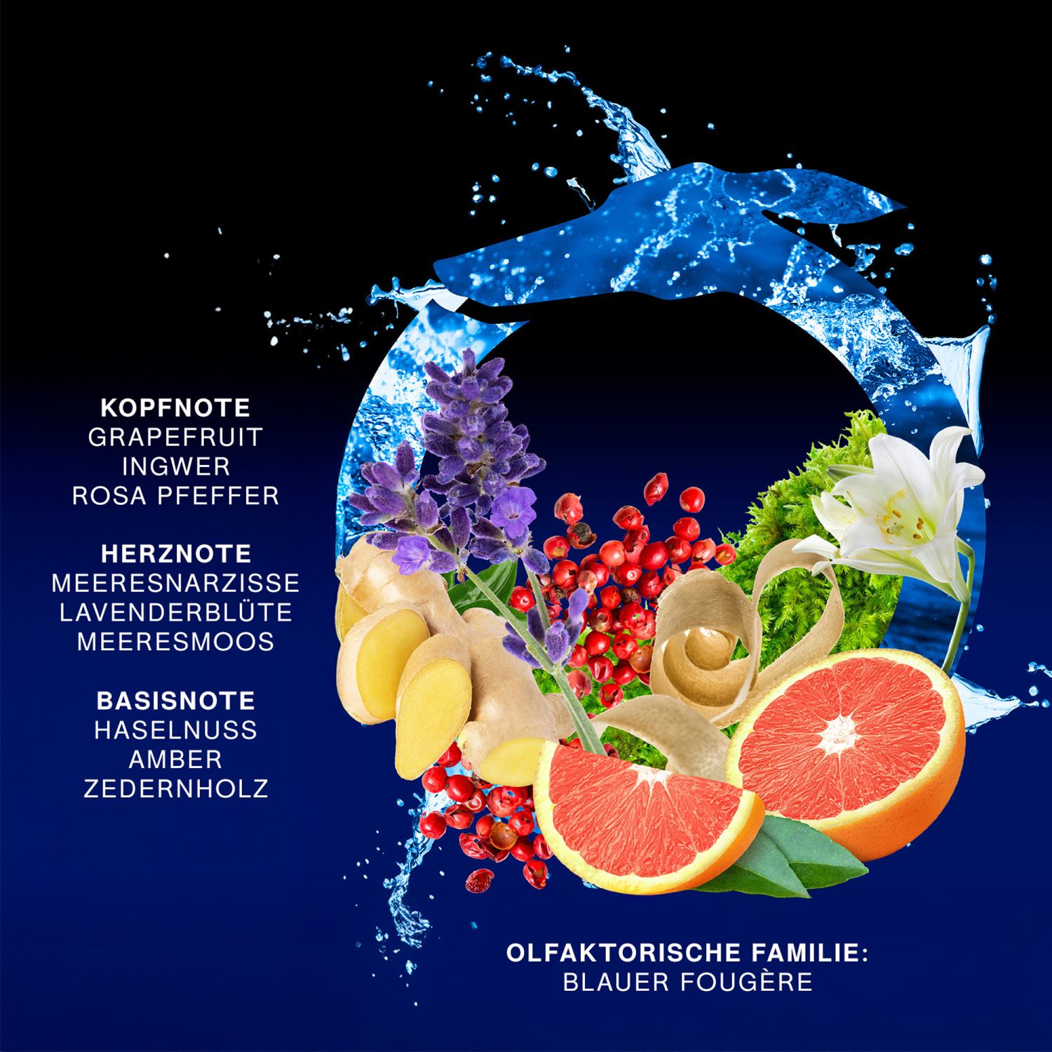 Primo Notte Blu Eau de Parfum