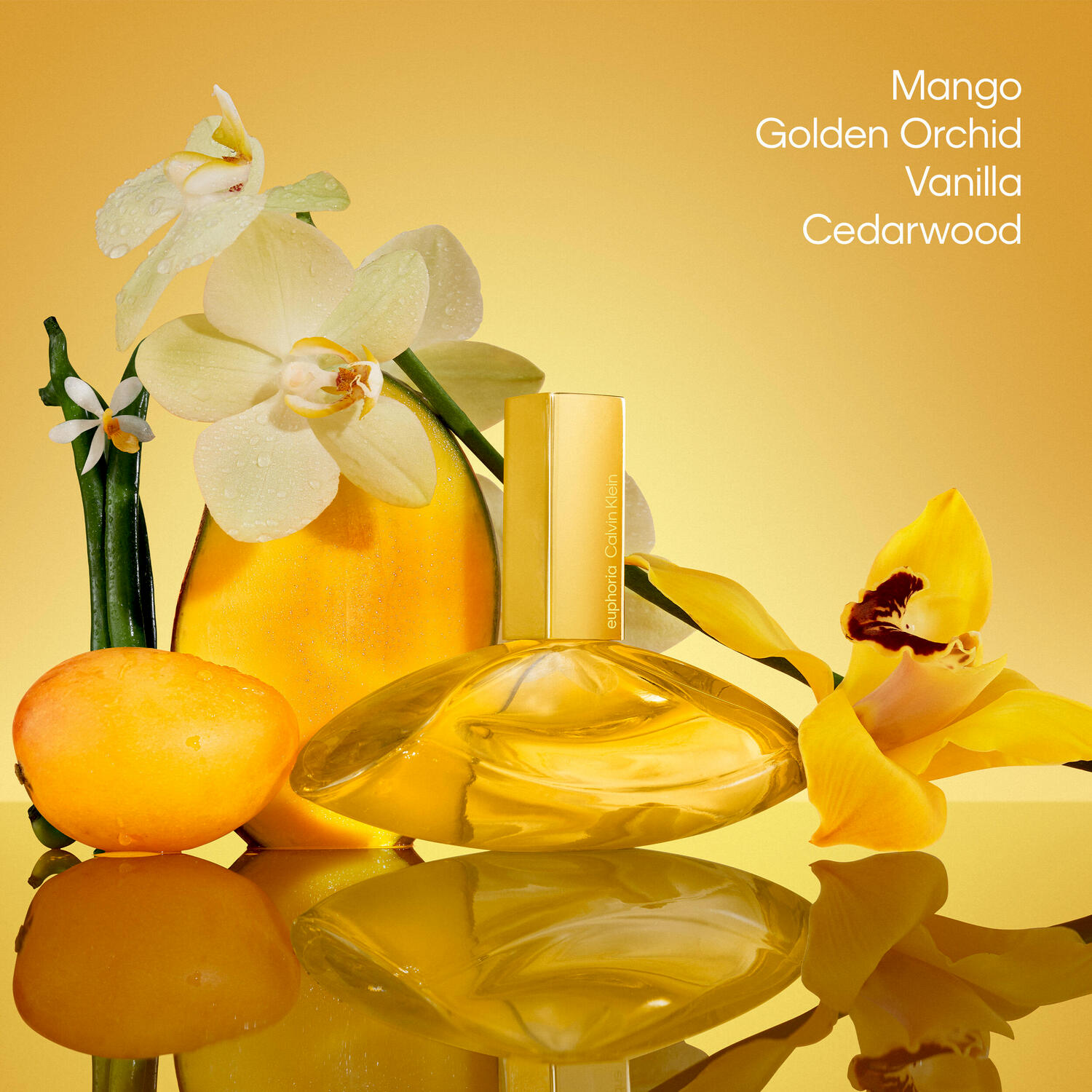 Euphoria Solar Elixir Parfum Intense