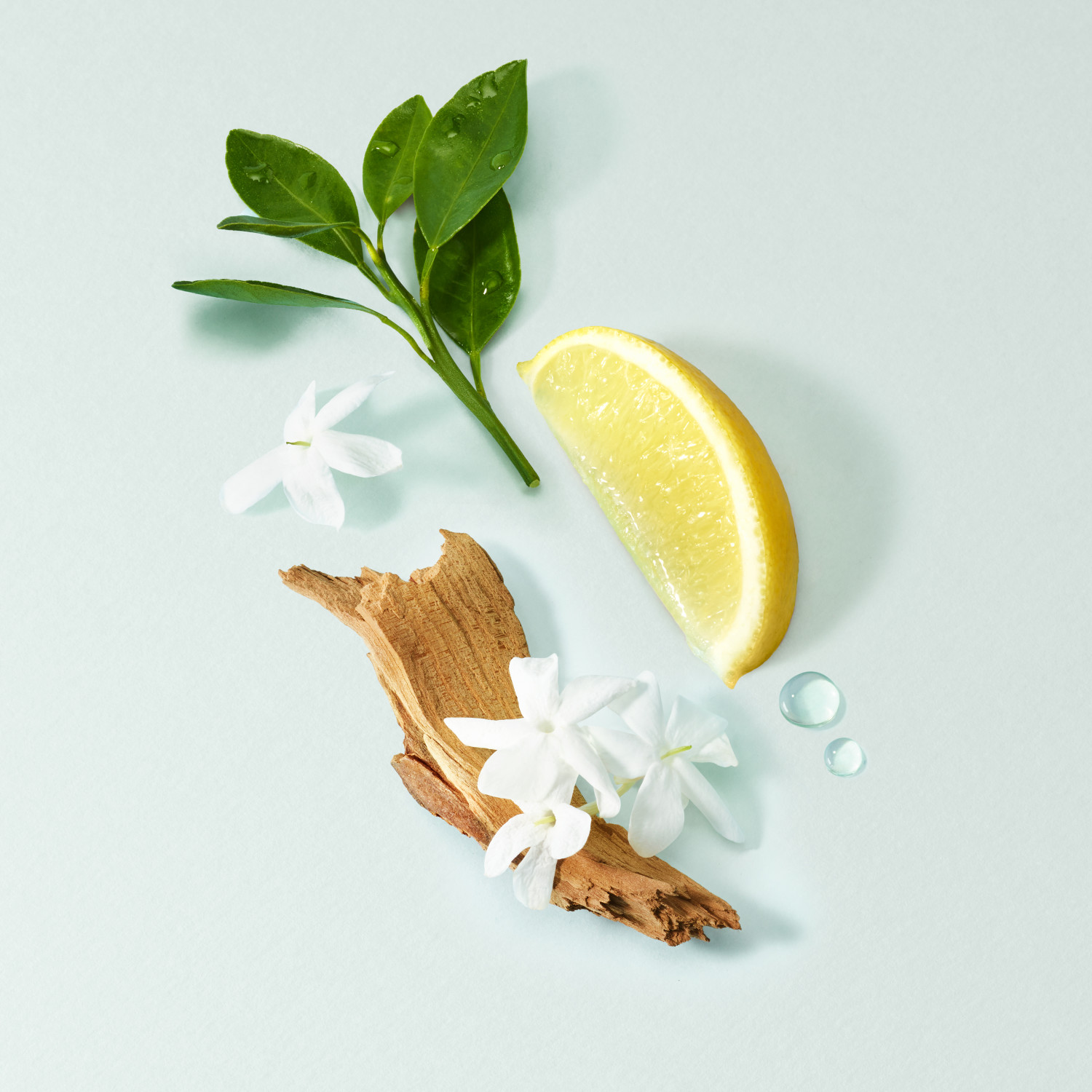 Acqua Di Gioia Eau de Parfum Set