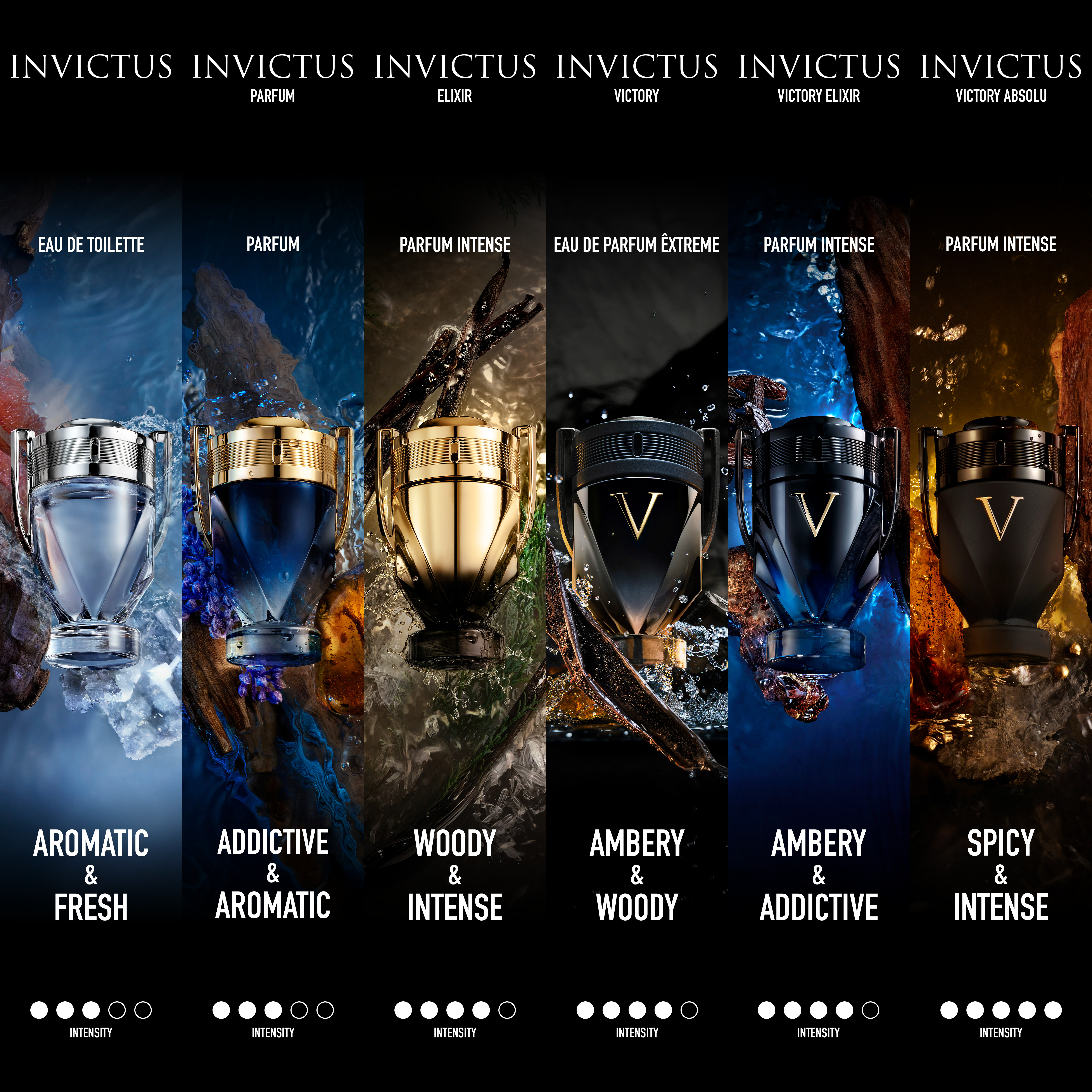Invictus Elixir Parfum Elixir