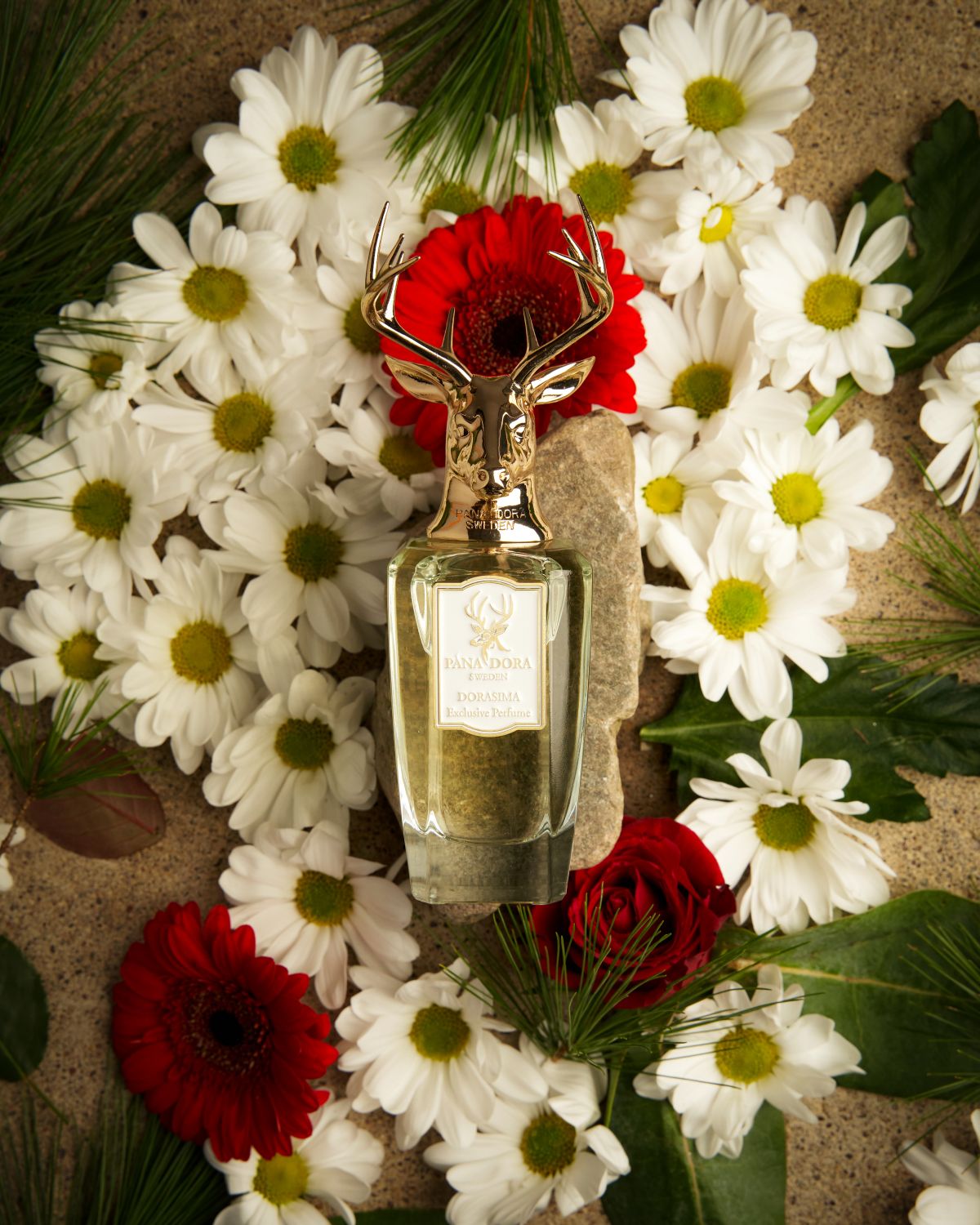 Dorasima Eau de Parfum