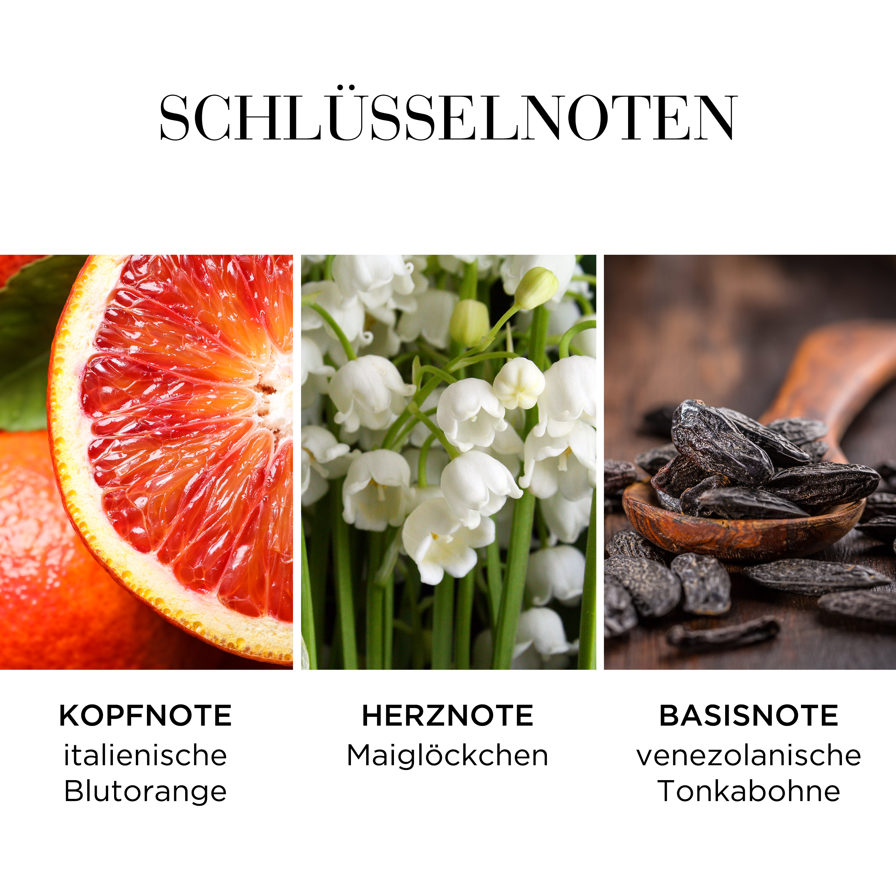 White Tea Eau Fraiche Eau de Toilette
